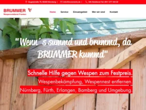 Wespennotdienst Franken - Kammerjäger in Nürnberg