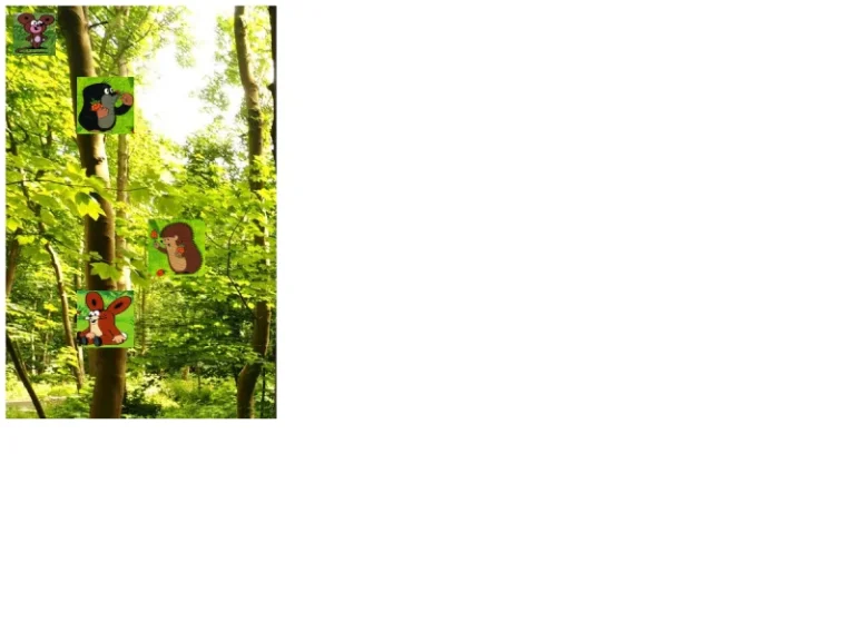 Jens Petzold - Musikschule in Nürnberg