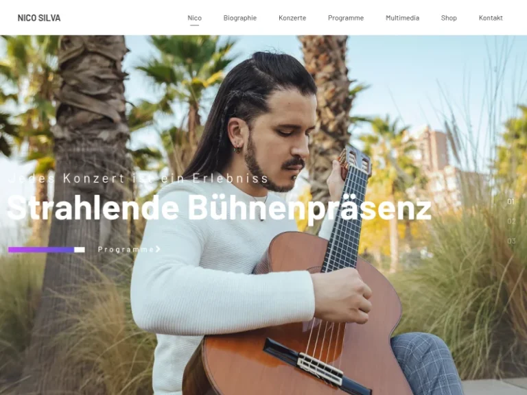 Gitarrenstudio Nico Silva - Musiklehrer in Nürnberg