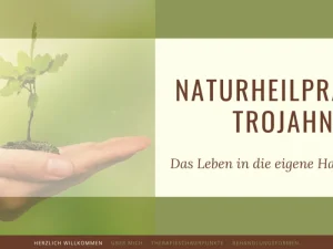 Naturheilkunde-Praxis Trojahn Nürnberg – Schmerztherapie – Stresserkrankungen – TCM – Akupunktur – Hypnose - Akupunkteur in Nürnberg