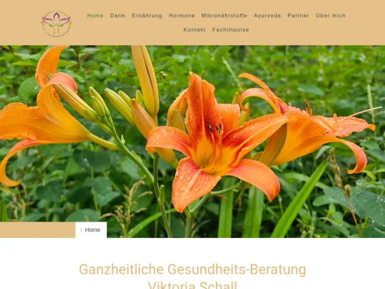 Ganzheitliche Gesundheitsberatung Schall - Gesundheitsberater in Nürnberg