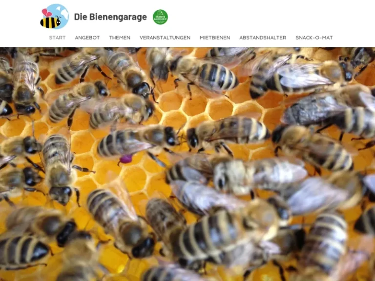 Die Bienengarage - Bildungseinrichtung in Nürnberg