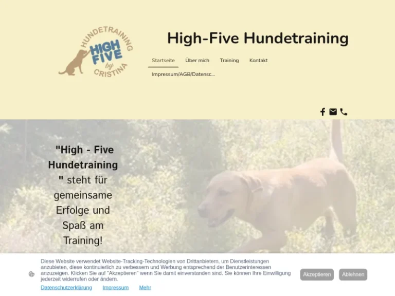 High-Five Hundetraining - Hundeschule in Nürnberg