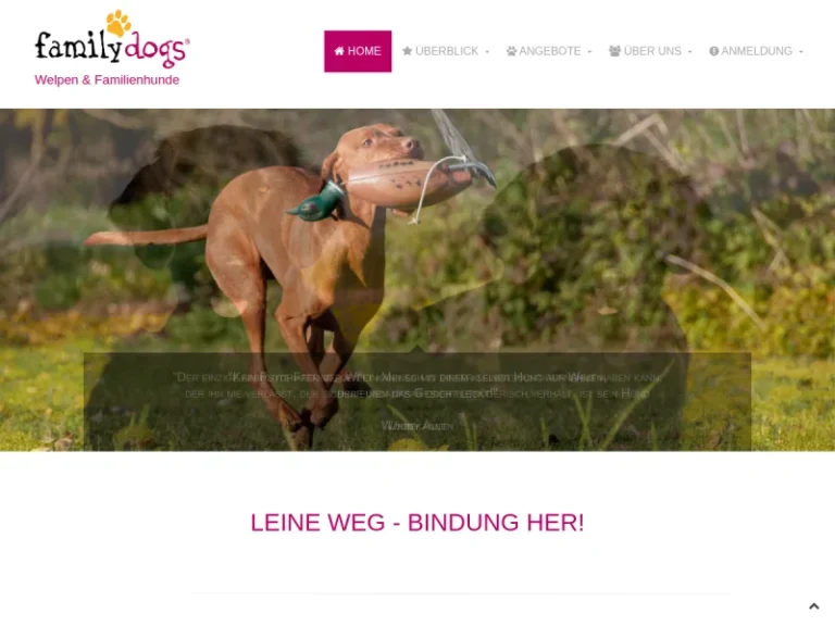 HUNDESCHULE | family dogs - Hundeschule in Nürnberg