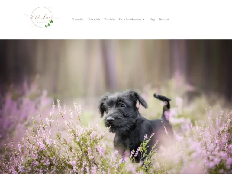 Wild Luck Fotografie - Fotograf in Nürnberg