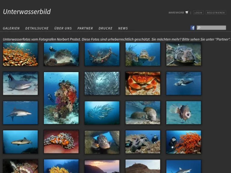 Norbert Probst Unterwasserbild - Fotograf in Nürnberg