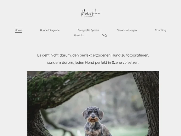 Hundefotografie Markus Heber Photography - Fotograf in Nürnberg