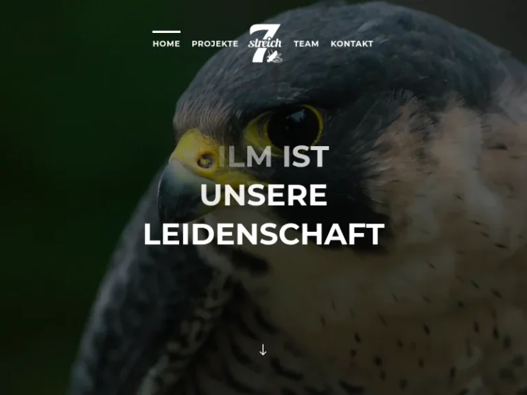 7streich GmbH Film- und Videoproduktion - Videoproduktionsdienst in Nürnberg